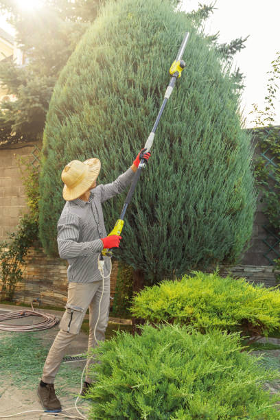 Best Pest Control for Lawns  in Desert Aire, WA